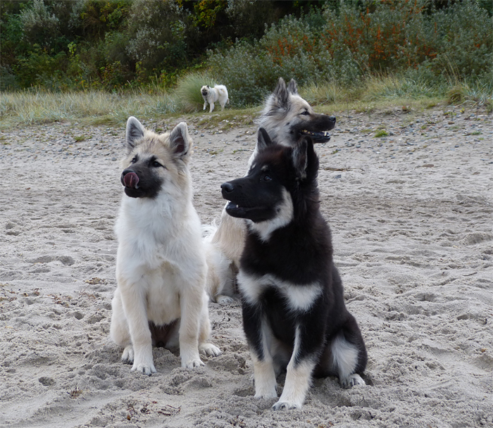 0030 Ivy und Ici.jpg